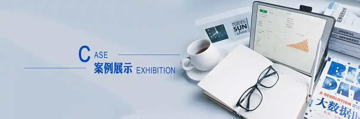 枞阳县软件开发